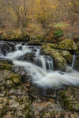 Fototapeta na wymiar Stunning vibrant landscape image of Aira Force Upper Falls in Lake District during colorful Autumn showing
