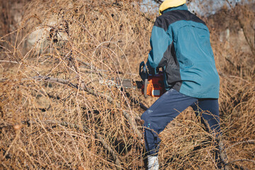 young 17-year-old temporary worker in work clothes wrestles with a chainsaw and a dry larch tree....