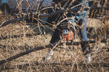 young 17-year-old temporary worker in work clothes wrestles with a chainsaw and a dry larch tree. Wood processing in the wilderness. Cutting a fallen tree into parts. Learning a new workforce