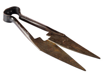 Old rusty scissors for shearing isolated on white background