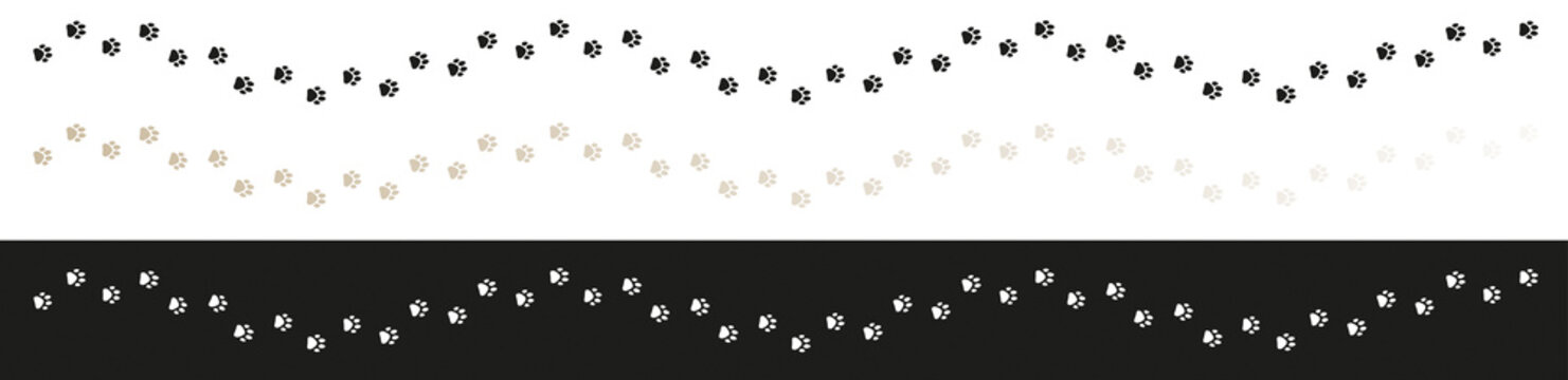 CHEMIN D'EMPREINTES DE PATTES D'ANIMAL