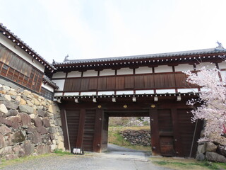 奈良、郡山城跡の桜。