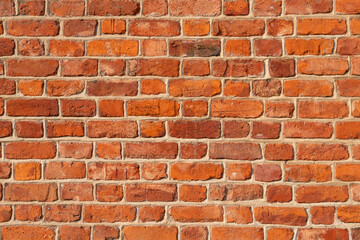 Fototapeta premium red brick wall