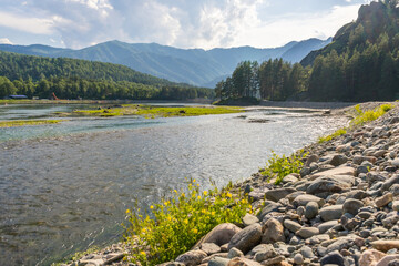 Bank of the Chemal River in Altai