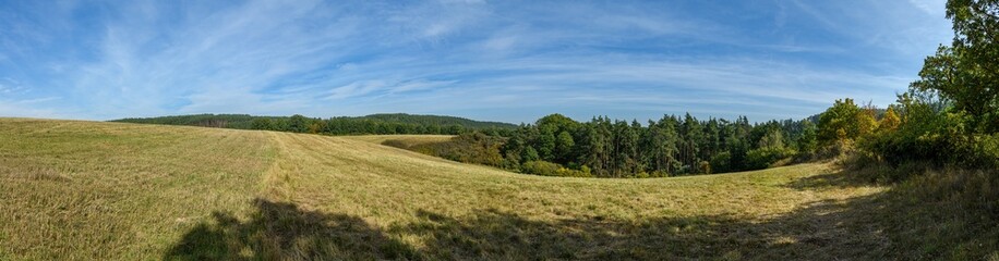 panorama with meadow on hill slope and forest in valley