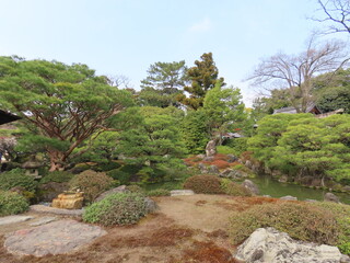 京都、城南宮の梅や花