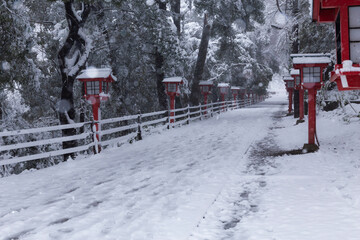 雪の参道