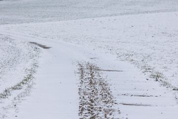 snowy field path with cloudy sky in Schmuttertal biotope near the village of Gablingen near...