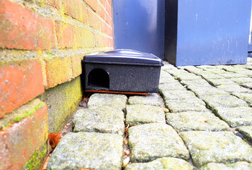 Pest control by outdoor placing of a rat trap with poison inside