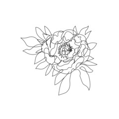 One single line drawing of peony flower. Abstract botanical line art.