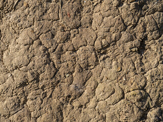 Mud wall detail.