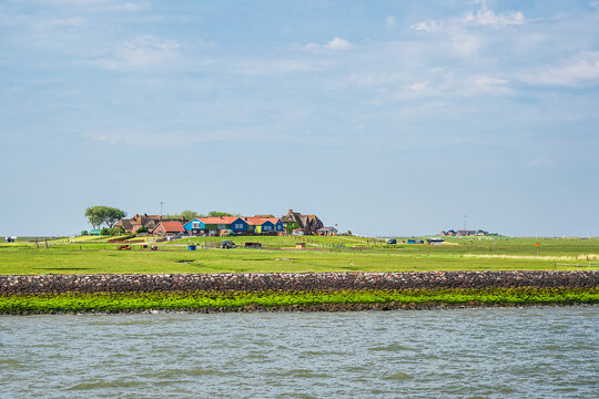 H&auml;user auf der Hallig Hooge in der Nordsee