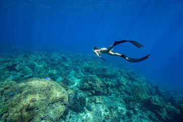 swimming freediving to coral reefs,Surin Island in Phangnga, Thailand. - 496498586
