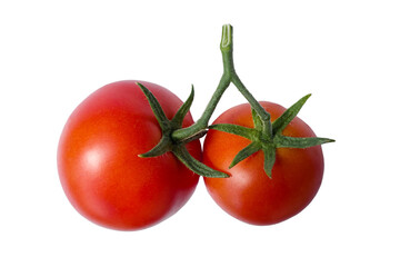 red tomatoes on a sprig of isolate