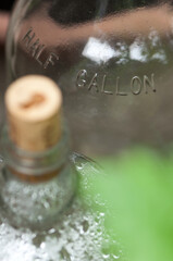 half gallon glass jug (and out of focus jug with cork stopper) and green element