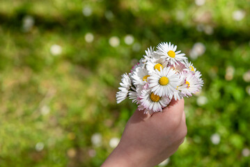 little girl handing flowers to her mother.