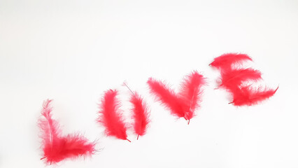 love inscription made of pink feathers on a white background