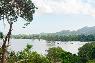 Fototapeta na wymiar Early morning view of Kandalama Lake / Reservoir from the east side during the summer in Sri Lanka.