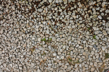 white pebbles texture laying on the ground