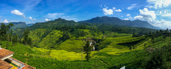 Fototapety na wymiar - Fototapeta24.pl