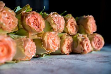 Beautiful english roses flowers. sunshine, Beautiful peony-shaped bushy pink roses. Valentine's day, the concept of love and loyalty.The concept of a flower shop, a small family business