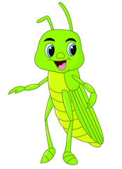 Cartoon Grasshopper Isolated on White Background ,Vector Illustration
