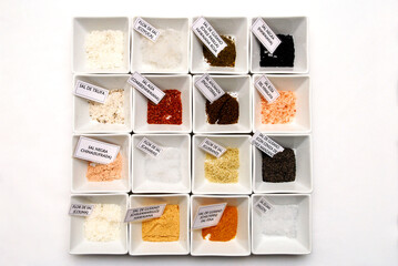 types of salt, group of different types of salt with their respective names written on paper, in containers on white background
