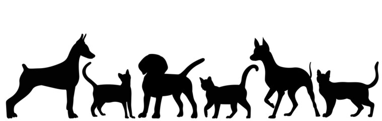 cats and dogs silhouette on white background isolated vector