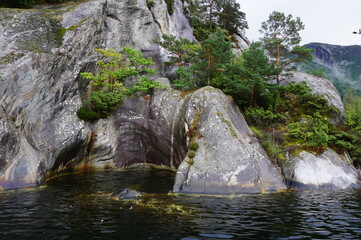 nature