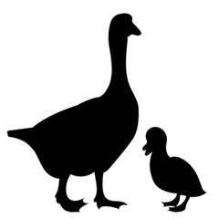 goose and gosling silhouette on white background isolated vector