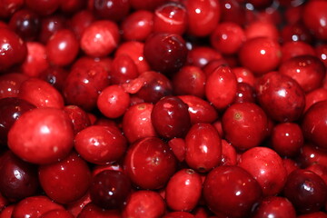 Homemade cranberry sauce