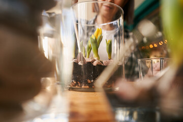 Close-up photo of female planting flowers in workshop