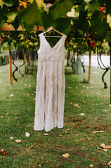 Vineyard Wedding Dress