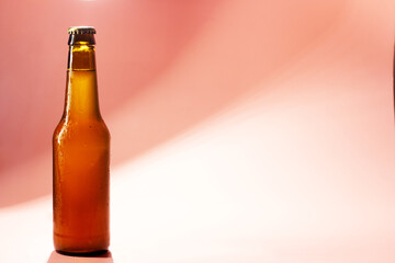 closed beer bottle on pink background with shadows