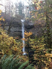Fall Waterfall Views
