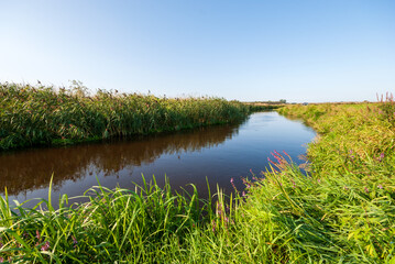 Pełnia lata w Dolinie Narwi, Podlasie, Polska © podlaski49