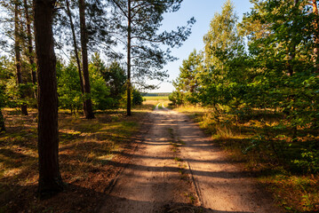 Pełnia lata w Dolinie Narwi, Podlasie, Polska © podlaski49