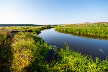 Pełnia lata w Dolinie Narwi, Podlasie, Polska © podlaski49