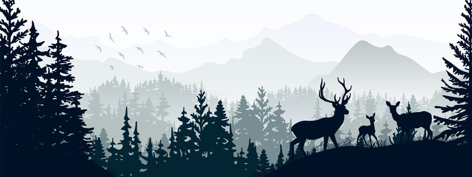 Horizontal banner. Silhouette of deer, doe, fawn standing on meadow in forrest. Silhouette of animal, trees, grass. Magical misty landscape, fog, mountains. Gray illustration. Bookmark.