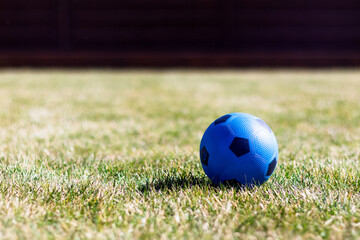 Niebieska gumowa piłka na pięknym zielonym trawniku. - obrazy, fototapety, plakaty