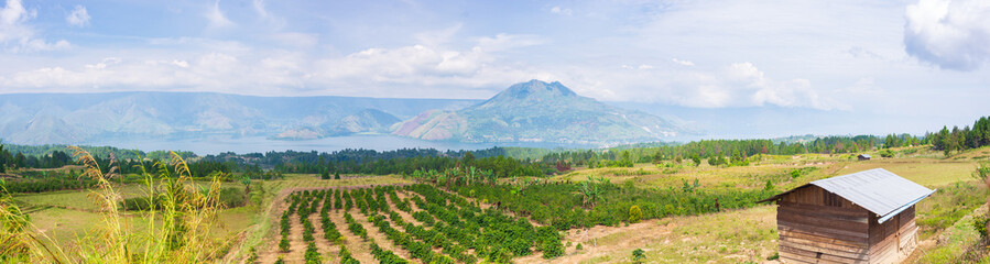 Fototapeta na wymiar Lake Toba and Samosir Island view from above Sumatra Indonesia. Huge volcanic caldera covered by water, traditional Batak villages, green rice paddies, equatorial forest.