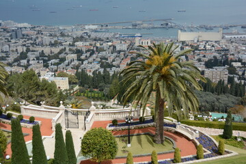 palm haifa