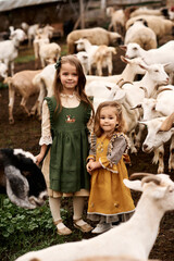 cute children in beautiful dresses walking on a farm feeding a goats