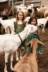 cute children in beautiful dresses walking on a farm feeding a goats