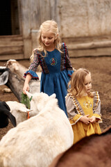 cute children in beautiful dresses walking on a farm feeding a goats