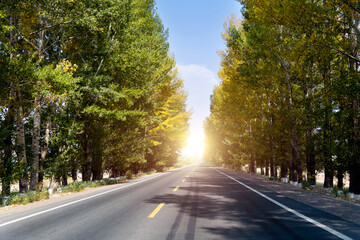 Straight road in summer and early autumn forest at sunset in China