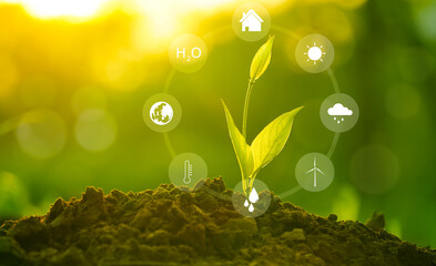 Innovation power concept  energy sustainability  energy efficiency and energy crisis from nature.
