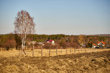 ogrodzone pole  © Marcin Łazarczyk