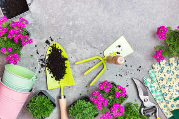 Garden tools, pots and spring flowers on a gray stone table