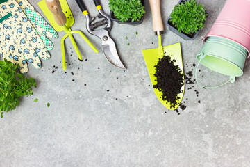 Garden tools, pots and seedlings on a gray stone table